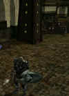 DDOBeta13.jpg (60225 Byte)