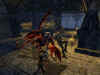 ddo13.jpg (134484 Byte)