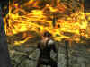 ddo14.jpg (99247 Byte)