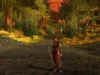 ddo2.jpg (115106 Byte)