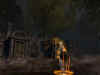 ddo4.jpg (83208 Byte)