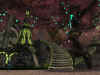 ddo5.jpg (121443 Byte)