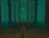 sc1.jpg (64318 Byte)