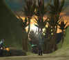 sc3.jpg (77356 Byte)