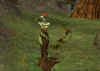 sc12.jpg (91903 Byte)