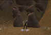 sc19.jpg (65165 Byte)