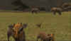 sc26.jpg (113498 Byte)
