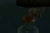 sc31.jpg (28321 Byte)