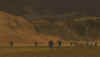 s10.jpg (32393 Byte)