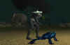 s11.jpg (31581 Byte)