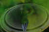 s13.jpg (39648 Byte)