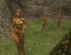 scr13.jpg (80485 Byte)