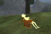 scr23.jpg (38126 Byte)