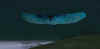 scr30.jpg (23438 Byte)