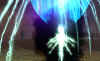 sc14.jpg (70358 Byte)