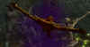 sc9.jpg (61956 Byte)