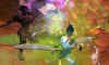 sc21.jpg (87419 Byte)