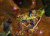 sc24.jpg (90291 Byte)